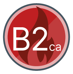 CPR B2ca certified
